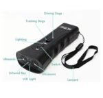 Ultra Sonic Dog Chaser